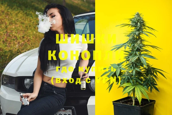 спиды Белокуриха
