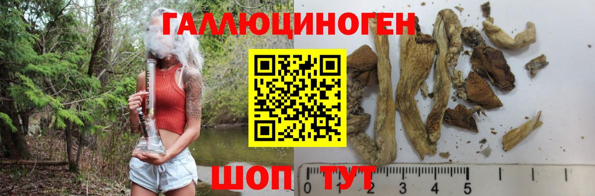 Гашиш Горно-Алтайск